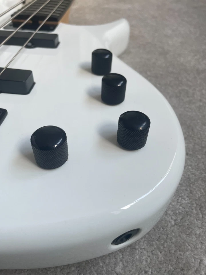 Epiphone Toby by Tobias Standard IV Rare, photo 3 of 5