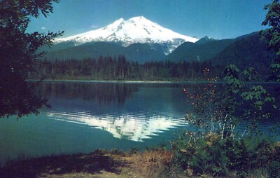 Mt. Baker Cascade Mountains Puget Sound Area Washington Postcard