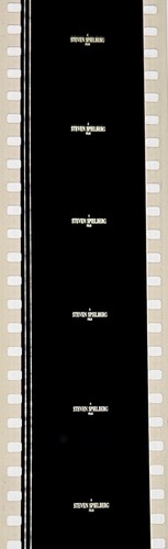 Jurassic Park 1993 Very Rare Unmounted 35mm Film Cells - Steven Spielberg - Picture 83 of 142