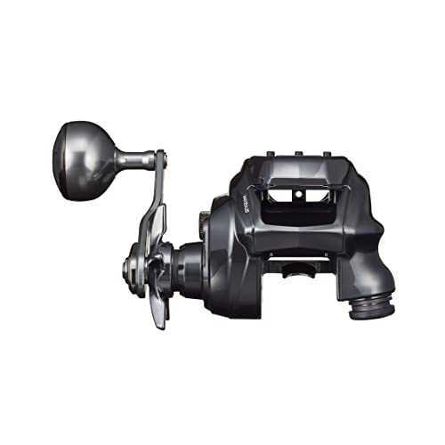 Daiwa 22 SEABORG 200J-DH 5.1 Electric Reel Right | eBay