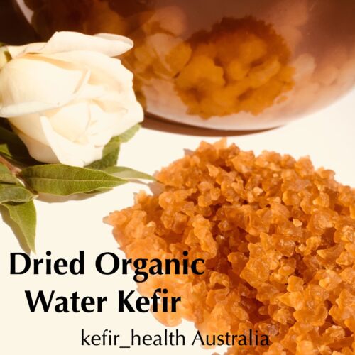 BUY 2 get 3rd FREE,  One tsp Dried Water Kefir for 8 tsp live grains. free post - Picture 1 of 5