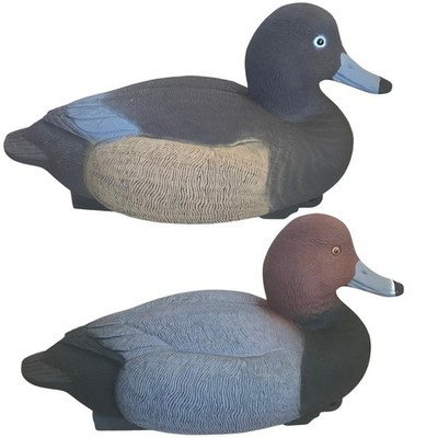 Rothaarige Ente Köder schwimmend Wildvögel Ganzkörper HD männlich Erpel weiblich Henne