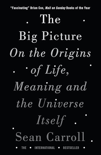 The Big Picture: On the Origins of Life, Meaning, and the Unive . - Image 8