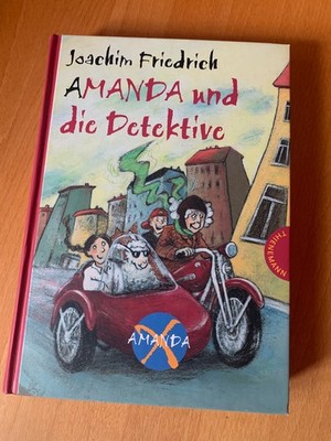 Amanda X. Amanda und die Detektive, Joachim Friedrich, Buch gebunden