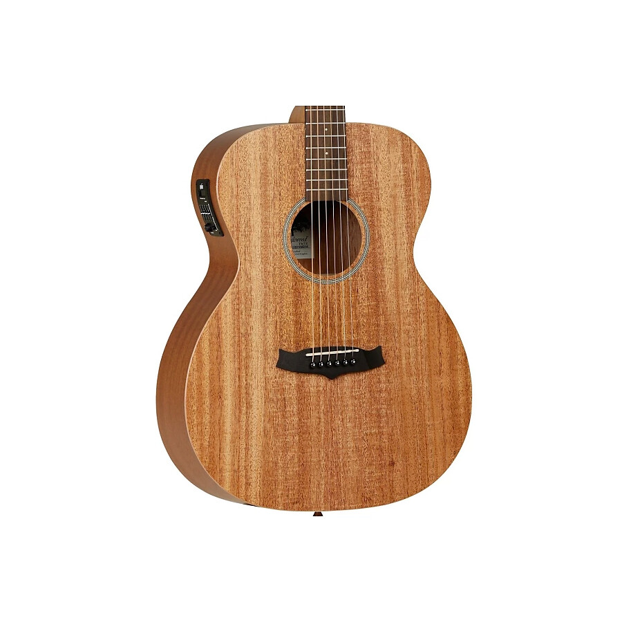 tanglewood winterleaf tw2 review