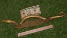 Picture 5 of 20