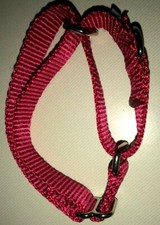 NEW NWOT red NYLON CHOKE COLLAR adjustable size medium MALE FEMALE PUPPY DOG PET