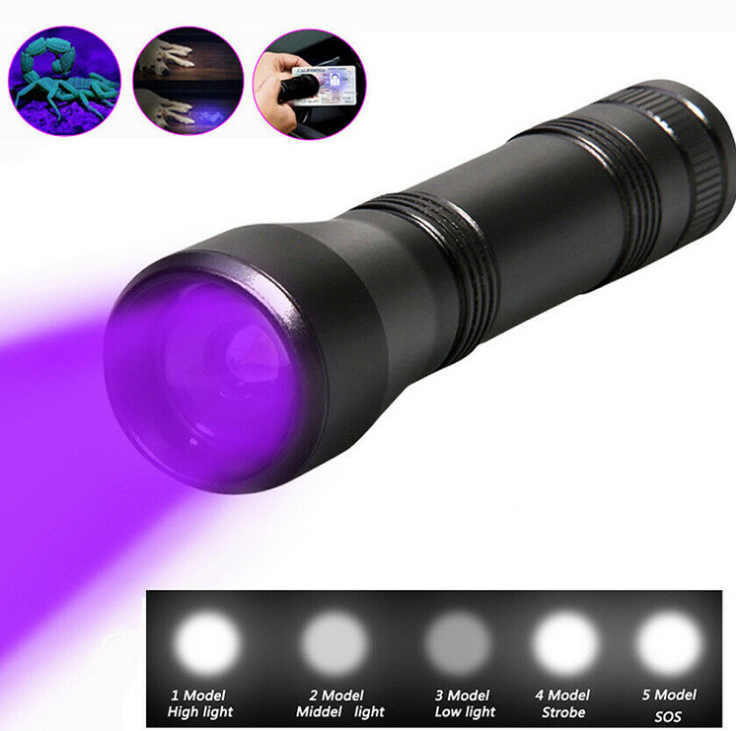 Outdoor UV Flashlight Purple Light Lanterna Ultra LED Torch