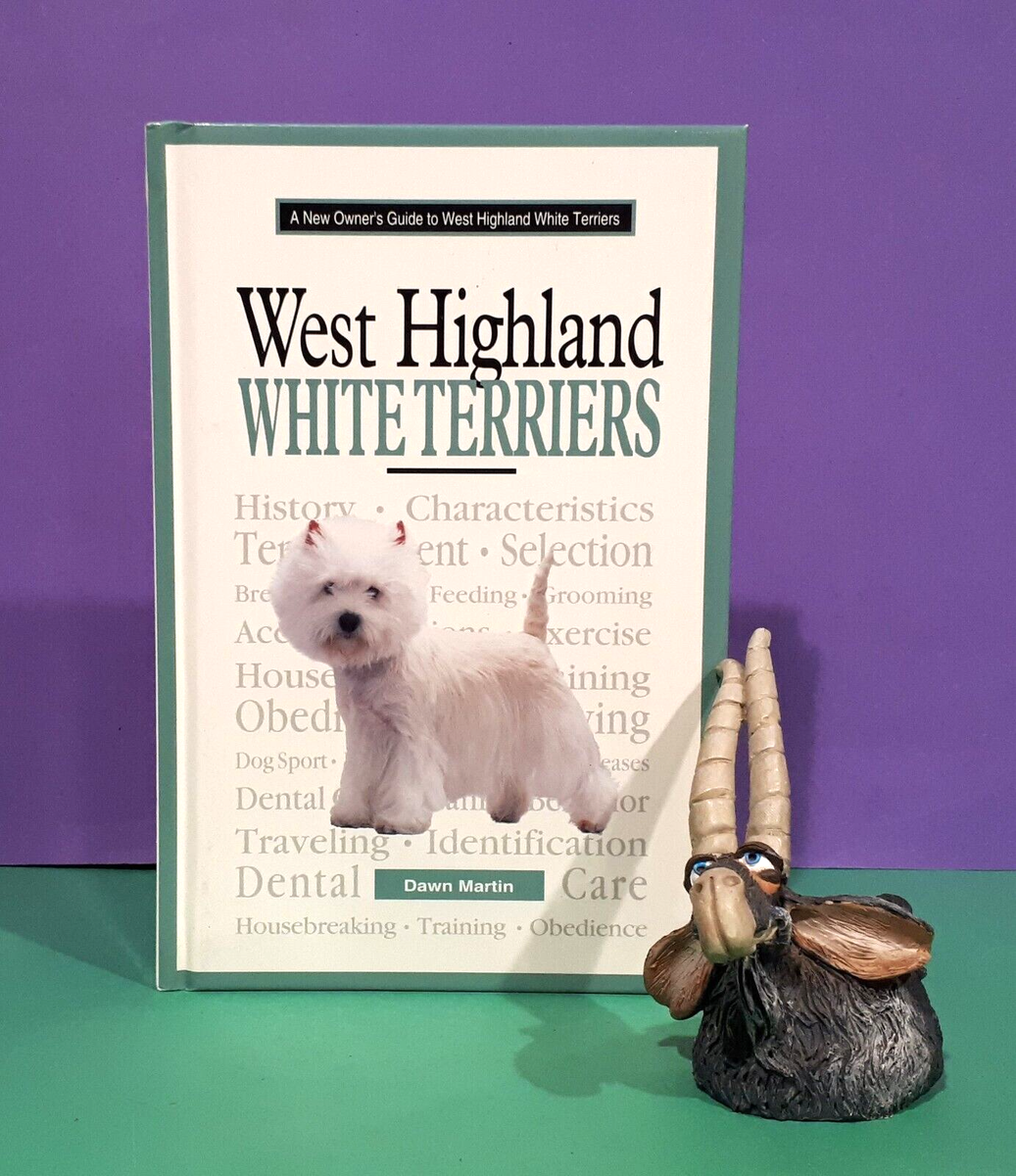 Well Groomed Traditional Westie Haircut Dawn Martin: A New Owner's