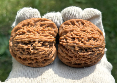 Hand massage ball Nan Jiang stone lion head wenwan walnut