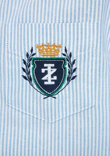 NEW IZOD Youth Boys L (14/16) Long Sleeve Oxford Striped Shirt Crest Logo - Picture 4 of 11