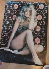 1977 Farrah Fawcett POSTER Pro Arts Inc Medina Ohio vintage THE ONLY ONE LISTED!