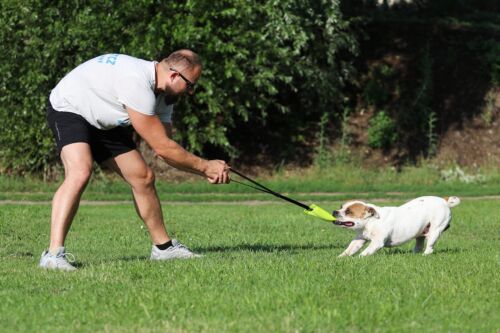 Bungee Beisswurst für Hunde 25 cm mit Handschlaufe - Sehr Robustes Hundespiel... - Bild 7 von 9
