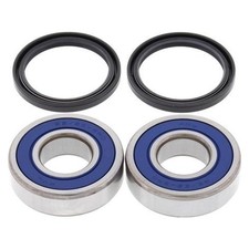 Kit cuscinetti ruota con anello di tenuta per ruota posteriore TM Racing EN 250 F 2005-2006 - Nuovi