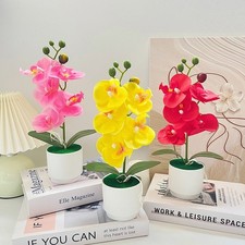 Nordic Style Phalaenopsis Kunstblume Topfpflanze für Studioeinrichtung