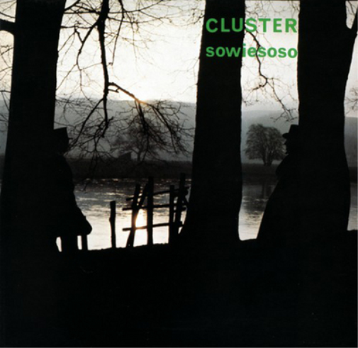 Cluster Sowiesoso (CD) Album