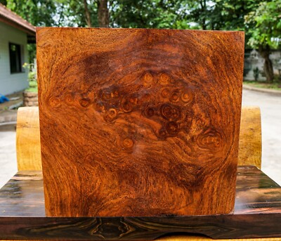 Rare! Thai Exotic Wood Rok Fa BURL LUMBER Live Edge Natural Slab DIY Epoxy Resin