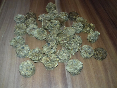 500 g LACHS MINI NUGGETS Hundeleckerli Katzensnack Hundekekse FischSnack barf