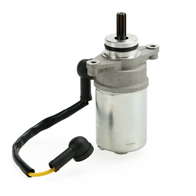 NEU Anlasser für Yamaha YFM 80 Badger Raptor Grizzly 85-08 YFM 50 Raptor 04-08