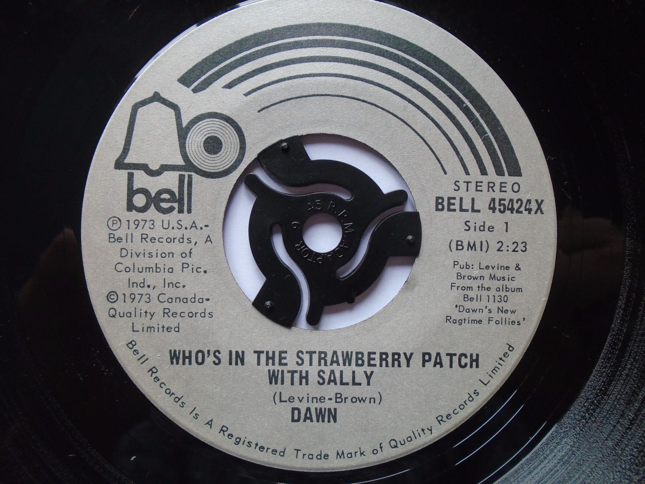 Dawn Who's In The Strawberry Patch With Sally 7