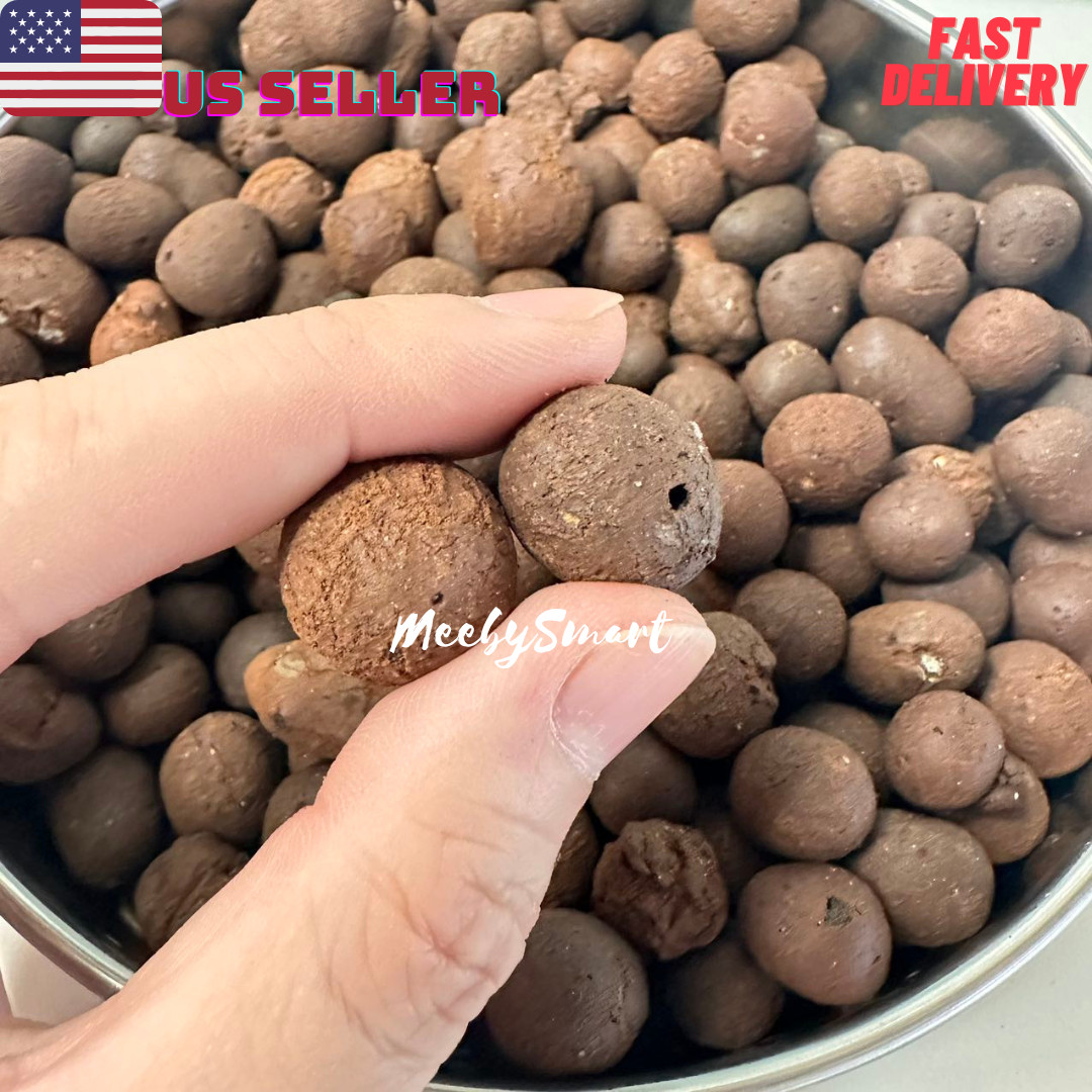 1LBS Expanded Clay rocks Grow Media for Hydroponic and Aquaponic systems small
