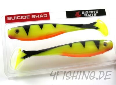 Big Bite Baits 7'' SUICIDE SHAD in SILK TIGER II