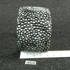 Bild 11 von 12