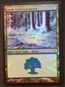 MTG Snow-Covered Forest FOIL Coldsnap HEAVILY PLD Basic Land #155