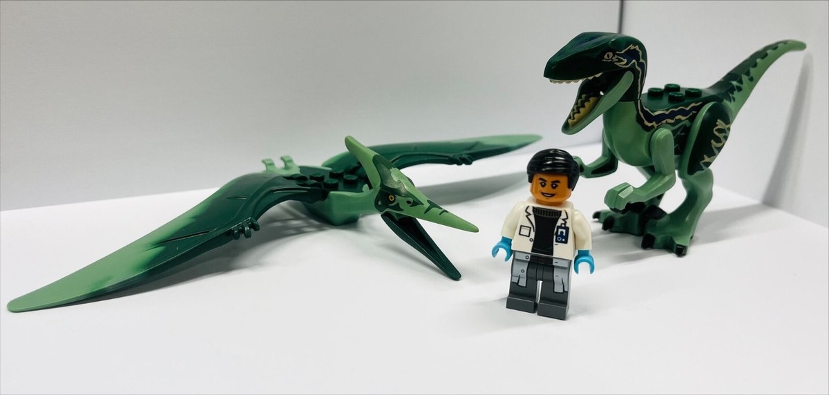 Lego Jurassic World set Pteranodon Dino Raptor Dark Green