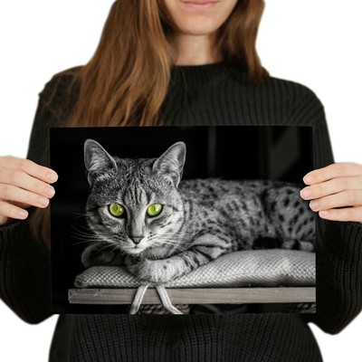 A4 - Ägyptische Mau Katze grüne Augen Kätzchen Poster 29,7 x 21 cm 280 g/m² #44940