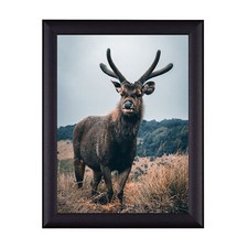 Posterrahmen, Bilderrahmen FIONA, viele Größen & Farben, Fotorahmen, Wechselrahm