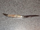 Case Knife w/ Box Appaloosa 610096 — photo 3