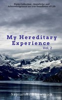 My Hereditary Experience Vol. 2 Saptarshi Bhowmick Taschenbuch Englisch 2020