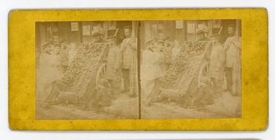 Stereoview Stereoskop Karten Stall Halter Verkauf Schnecken vom Wagen auf dem Markt 