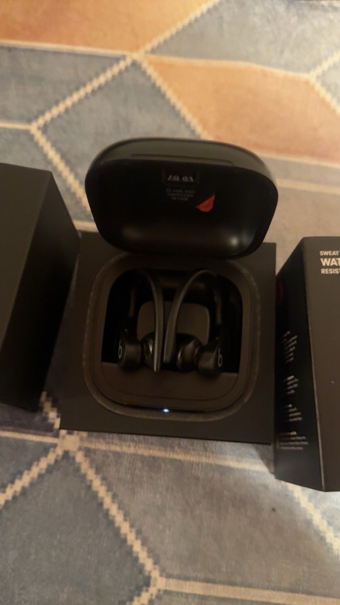 Beats by Dr. Dre - Powerbeats Pro Totally Wireless Earphones A2047