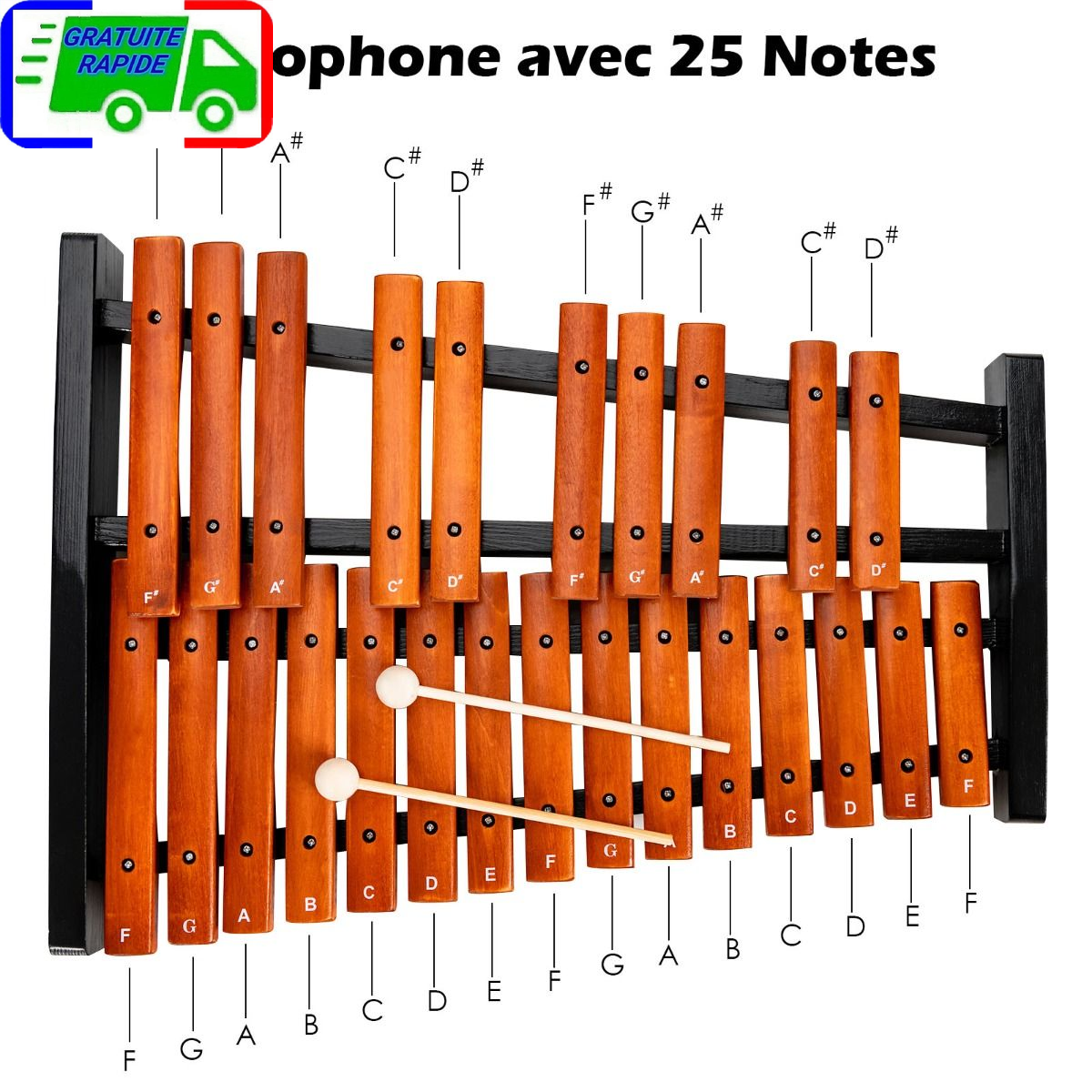 Kit De 10 Bandes IPR Orthodontiques Réutilisables Easyinsmile - Pour Réduction Interproximale - Neuf