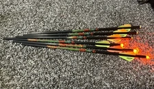 Excalibur - Black Eagle Zombie Slayer X-Bow Arrows -6 Pack - 16.5"- 3 w/Lumenoks