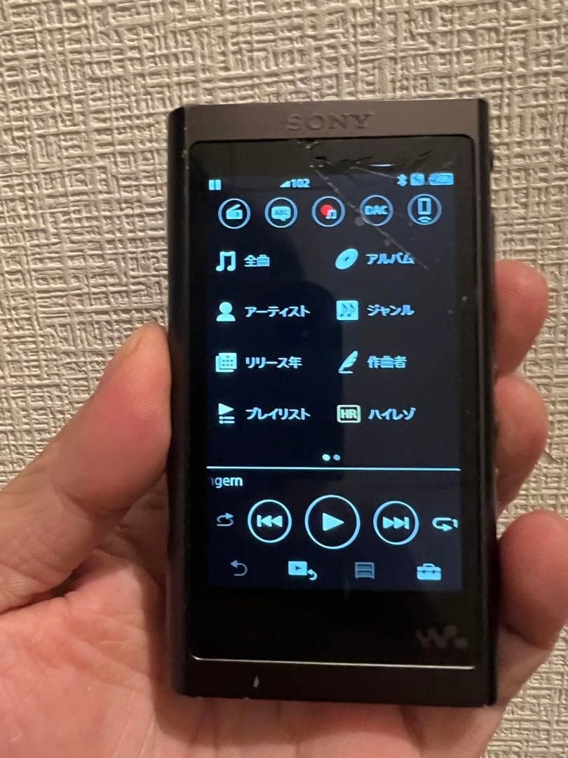 Sony NW-A55 MP3 Players for sale | eBay