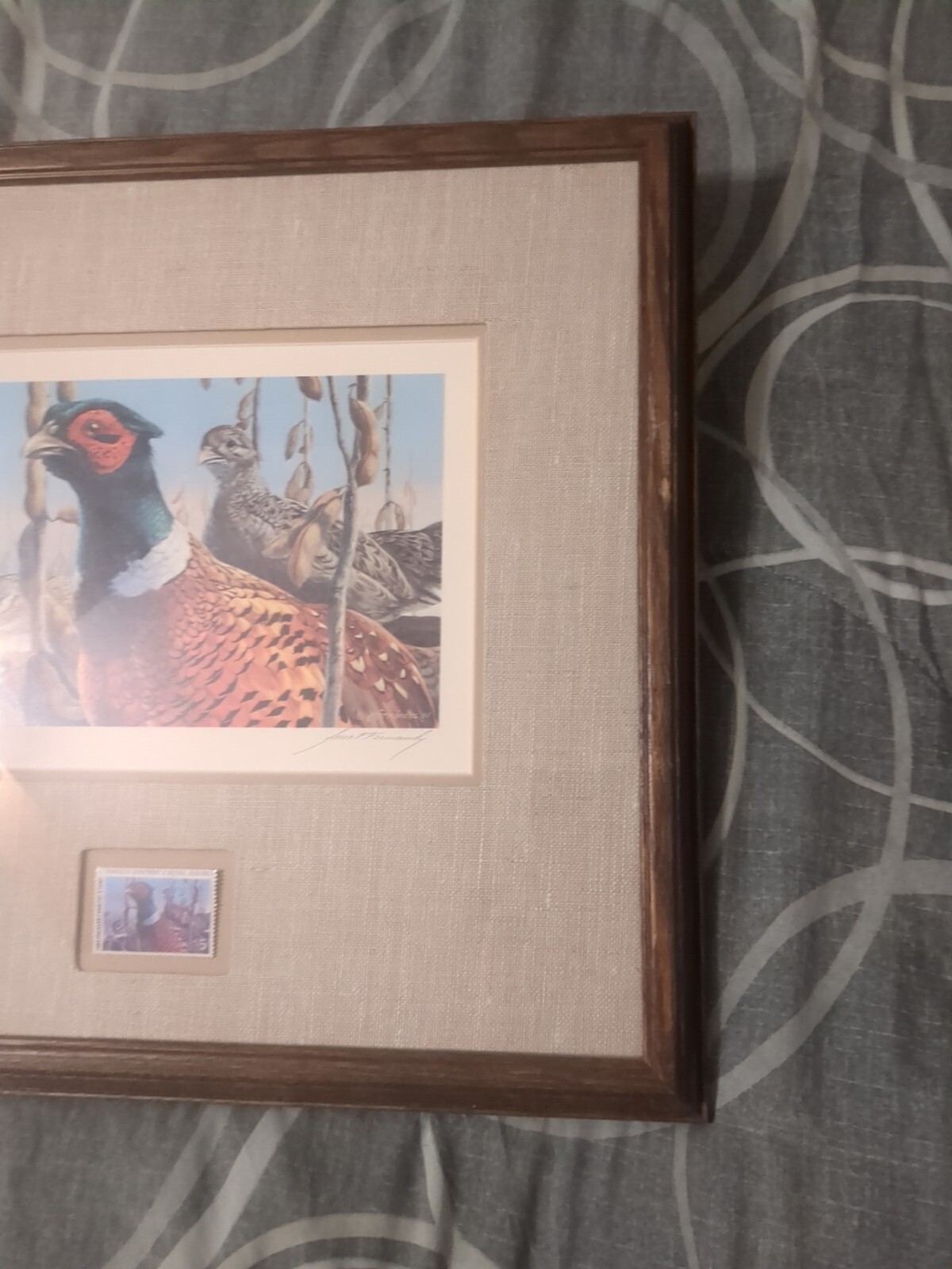 Picture 10 of 14