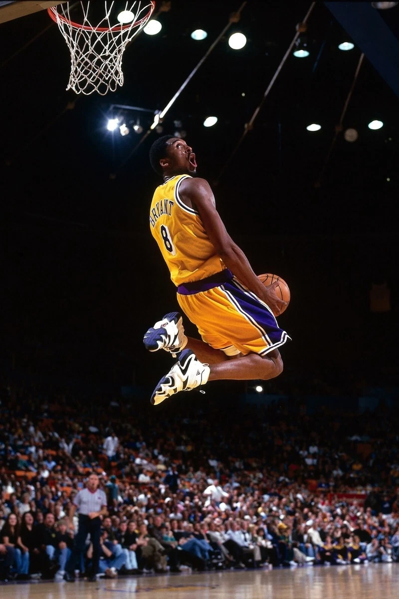 Kobe Limited Poster Artwork - Professional Wall Art Merchandise (16x20): Posters & Prints