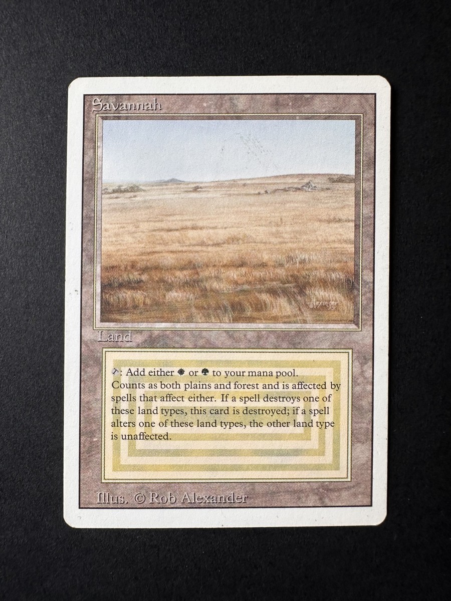 Magic: The Gathering Savannah — Revised Edition — Near Mint | eBay