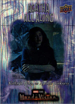 エージェント　オブ　シールド　upper deck UPPER DECK BLIZZARD LEGACY COLLECTION TRADING CARDS HOBBY