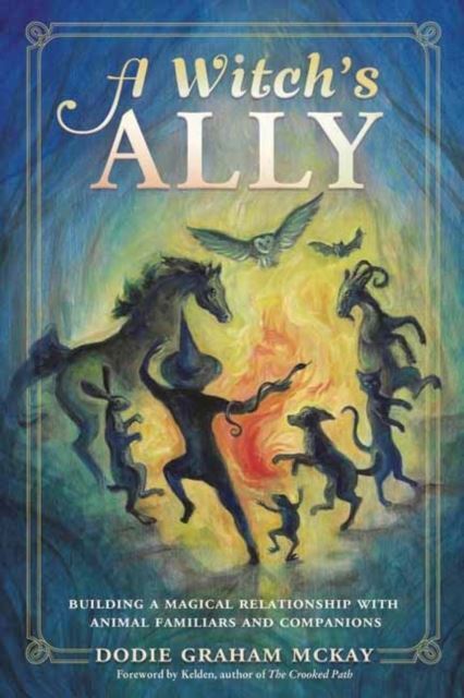 A Witch's Ally by Dodie Graham McKay Paperback