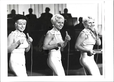 C996/ The Satin Bells UK Popgruppe Foto 26 x 20 cm 