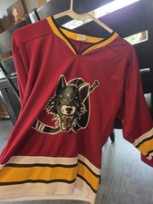 Chicago Wolves AHL Promotional Hockey Jersey Red Youth L/XL success promotions 