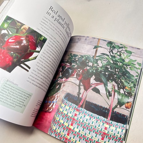 Grow Your Own Vegetables in Pots by Deborah Schneebeli-Morrell Gardening Home - Picture 16 of 22
