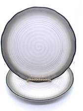 JCPenney Home Studio Drip Glaze Swirl Round Dinner Plates 11” Set of 2
