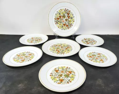 VTGE Set 7 Corelle Indian Summer- 2 Dinner & 5 Salad Plates