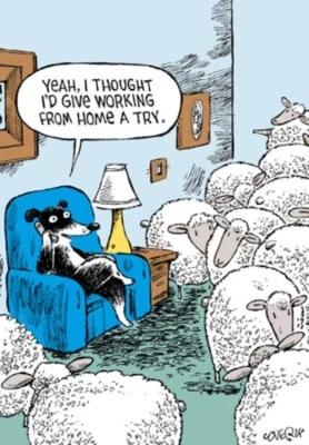 Funny Birthday Card Working from Home – Hilarious Cartoon Woodmansterne Greeting