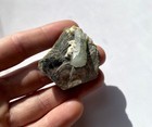 Foto 12 di 13